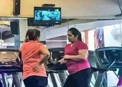 Enlace a Entrenamiento intensivo