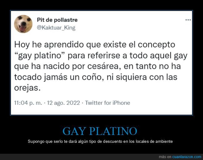 gay,platino,wtf