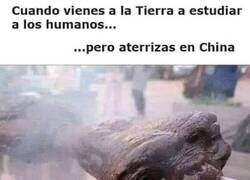 Enlace a Debió escoger otro lugar...