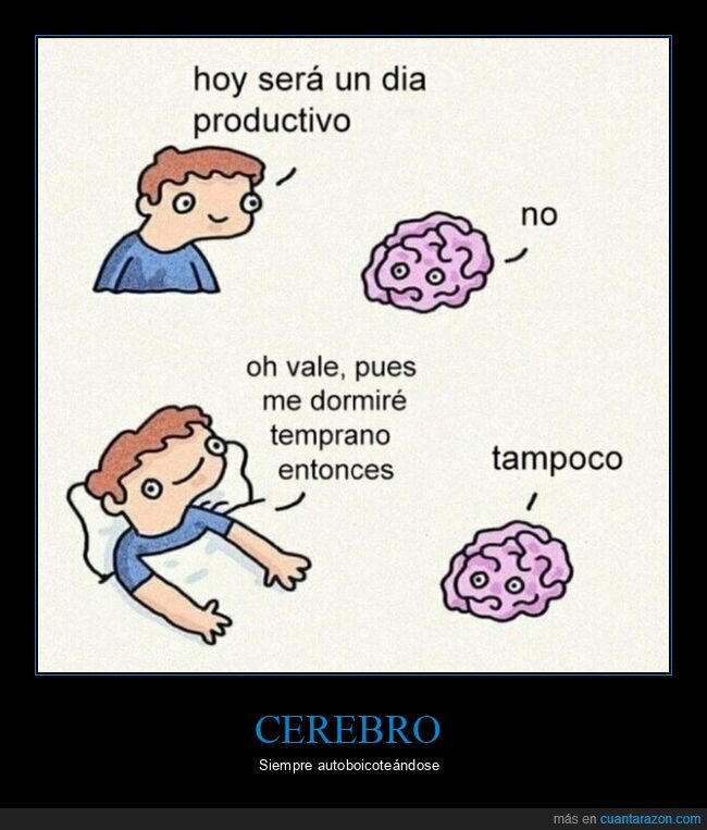 cerebro,productivo,dormir