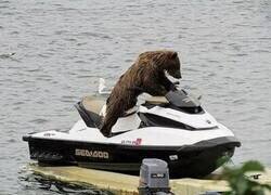 Enlace a Están aprendiendo a manejar nuestros vehículos...