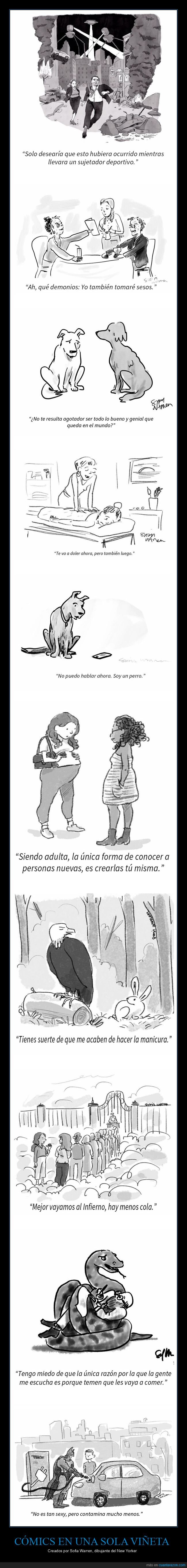 sofia warren,cómics,new yorker
