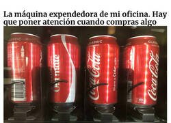 Enlace a El impuesto estúpido: fotos que demuestran que algunas personas son idiotas