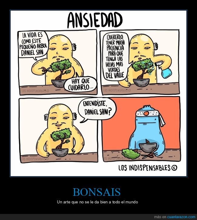 árbol,bonsai,karate kid