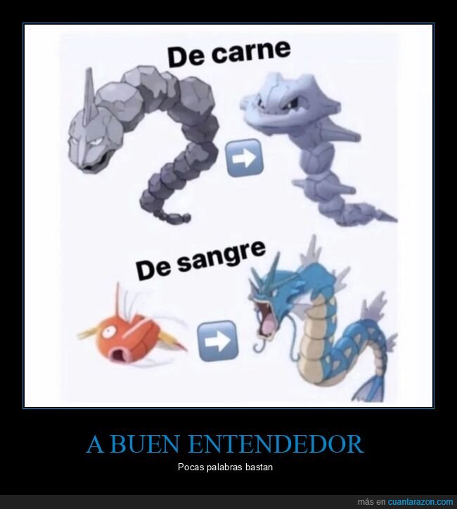 pokemon,carne,sangre