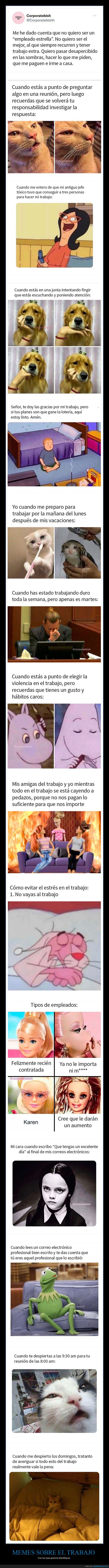 trabajo,memes