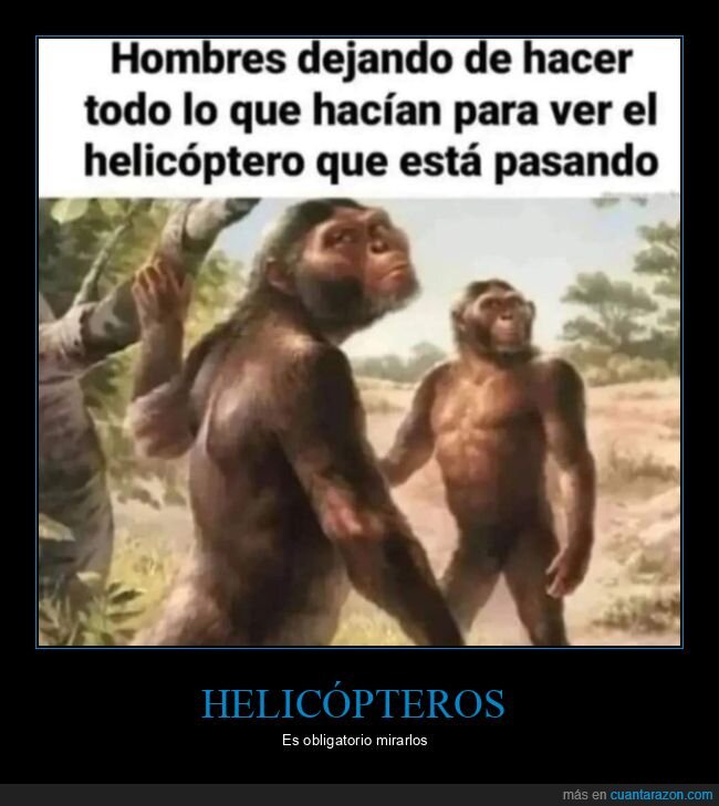 mirar,helicópteros
