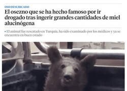 Enlace a Su cara lo dice todo...