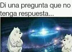 Enlace a La respuesta me ha matado