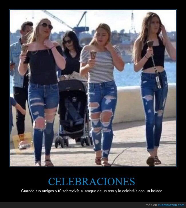 ataque,oso,tejanos,rotos,vaqueros,rajados,jeans