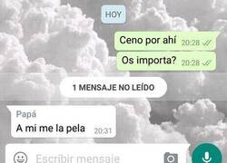 Enlace a Mi padre también es así