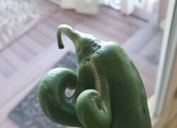 Enlace a Lo que pasa en el club del pimiento...