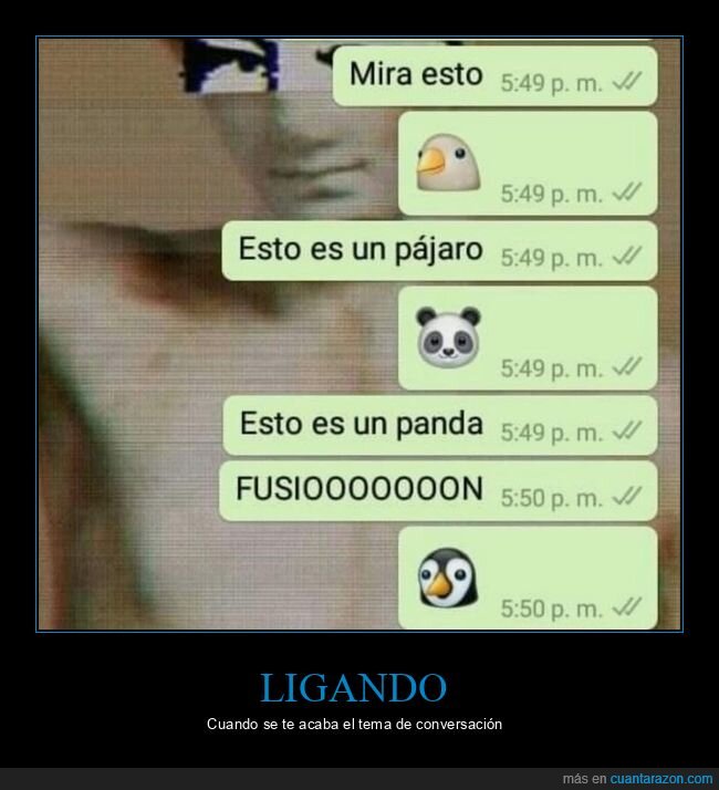 pinguino,panda,pajaro,fusion