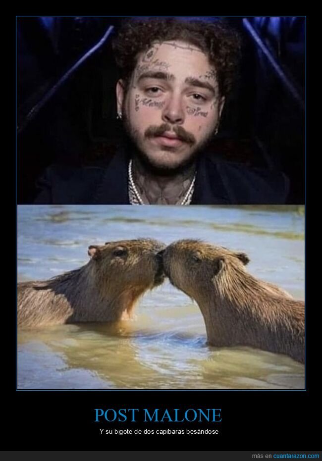 beso,capibara,post malone