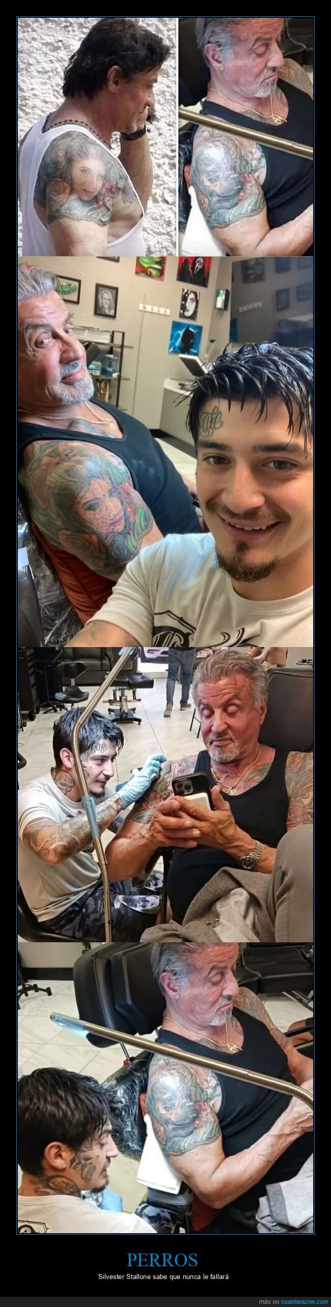 perro,tatuaje,mujer,silvester stallone