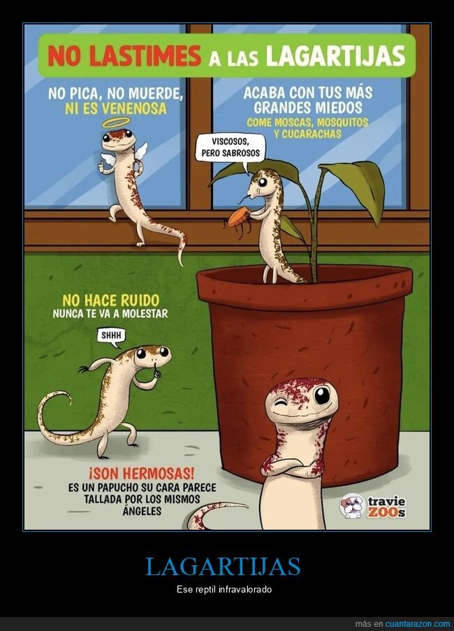 lagartija,cuidar,cracks