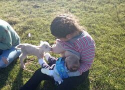 Enlace a Por lo visto tiene bastante leche