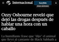 Enlace a Caballos que deberían montarse un centro de desintoxicación