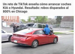 Enlace a Detector de tontos