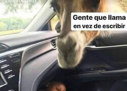 Enlace a Los zoomers tienen pánico a las llamadas