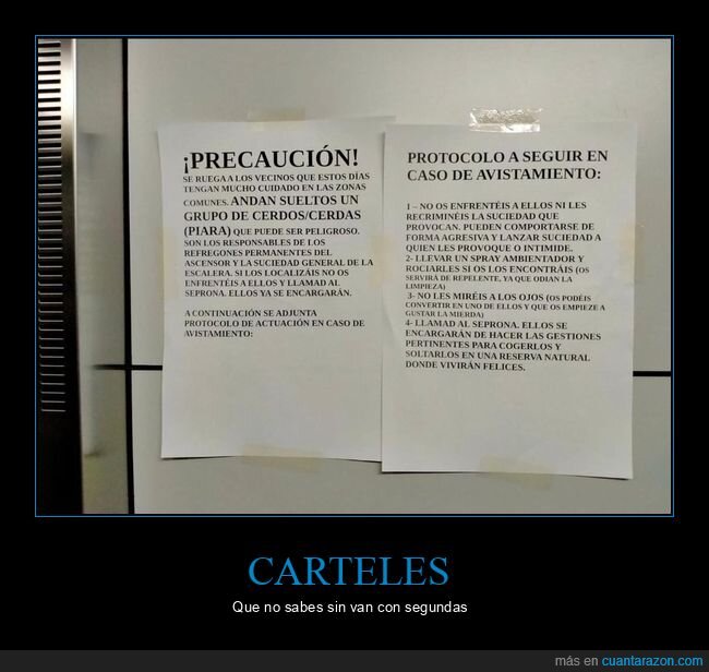 cartel,cerdos,comunidad