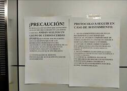 Enlace a No sé cómo tomármelo la verdad