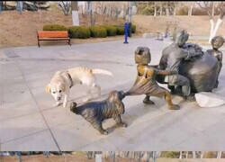 Enlace a COMPAÑERISMO