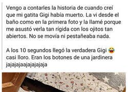 Enlace a El susto de su vida