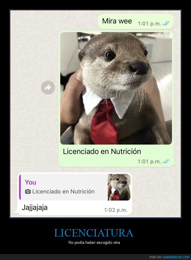 nutria,nutrición