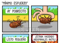 Enlace a Escarabajo en apuros