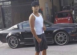 Enlace a Perro de presa