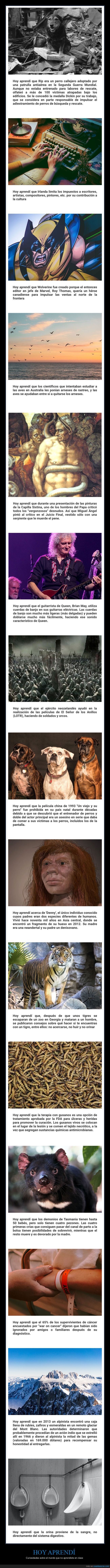 datos interesantes,curiosidades