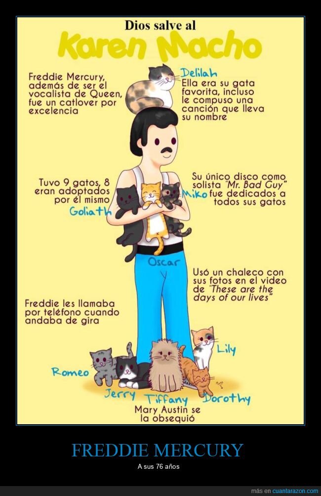 freddie mercury,gatos