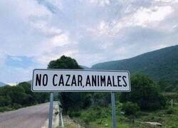 Enlace a Coma necesaria