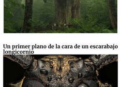 Enlace a Imágenes extrañamente aterradoras que te darán escalofríos