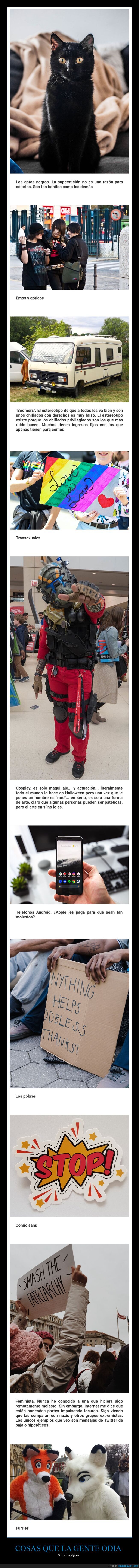 odiar,sin raz&oacute;n