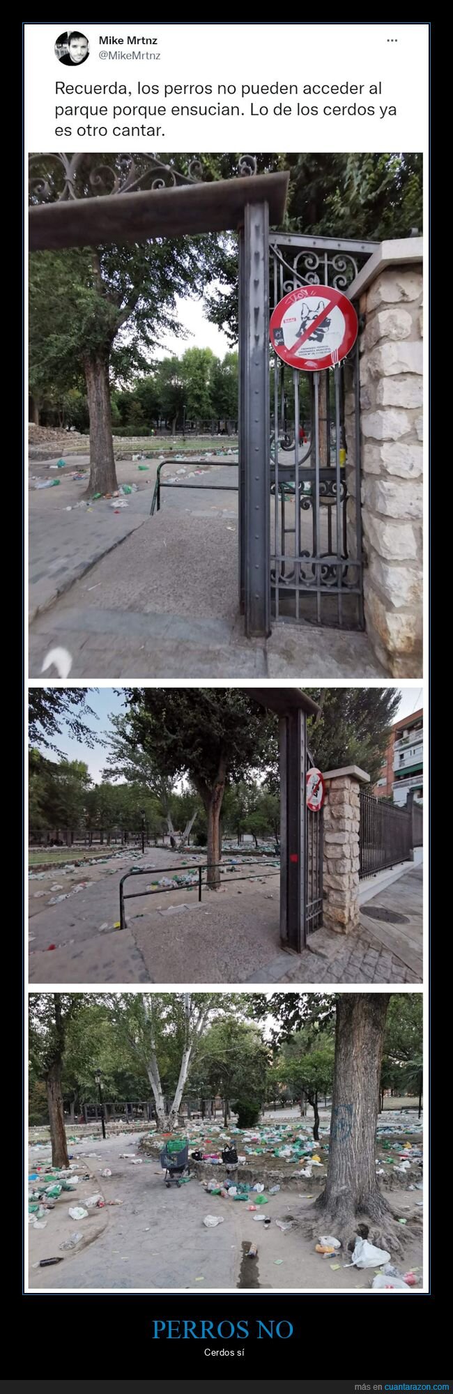 perros,parque,ensuciar