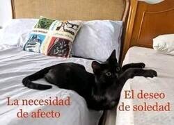 Enlace a Entre dos tierras