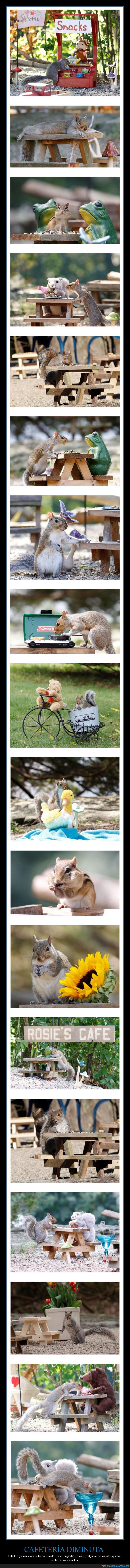 cafetería,jardín,animales