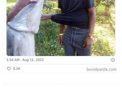 Enlace a Fotos con estatuas llevadas a otro nivel