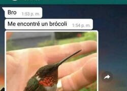 Enlace a Casi