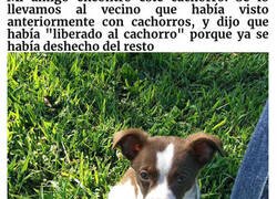 Enlace a Vecinos idiotas que merecen el premio al peor vecino del año
