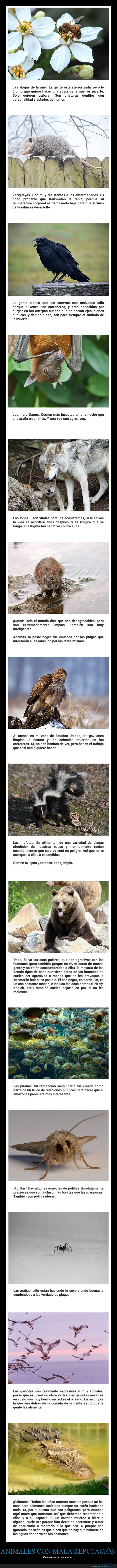 animales,mala reputaci&oacute;n,inmerecida