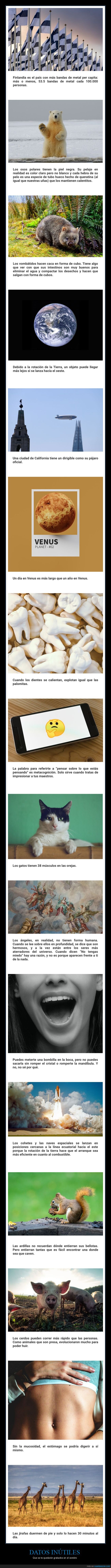 datos inútiles,curiosidades