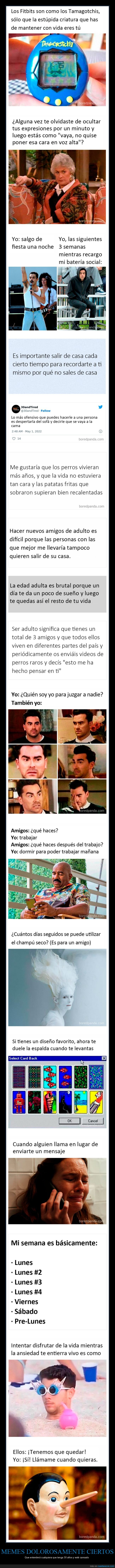 memes,30 a&ntilde;os