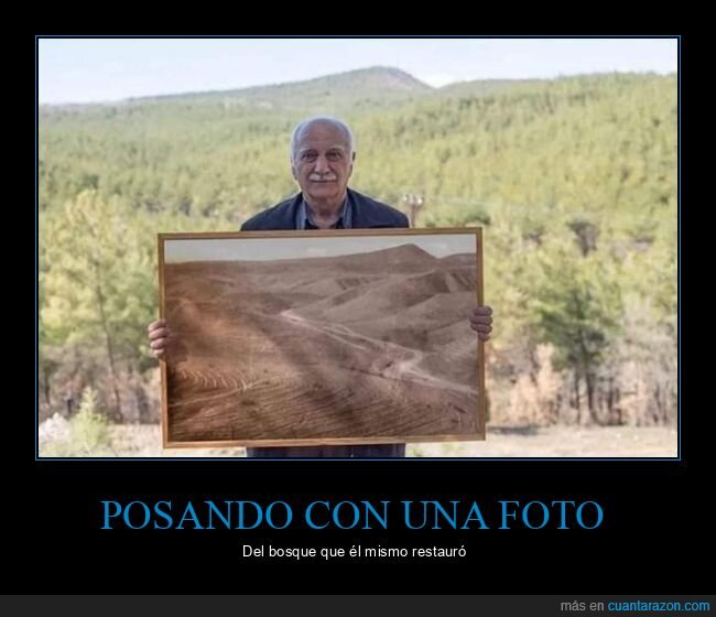 posando,foto,bosque,restaurar