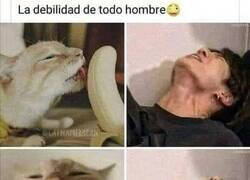 Enlace a No hay que tomarse las cosas al pie de la letra...