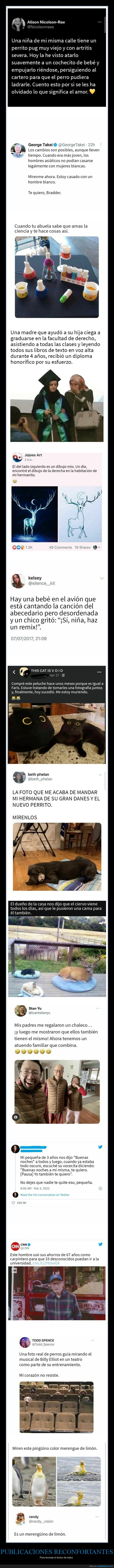 publicaciones reconfortantes