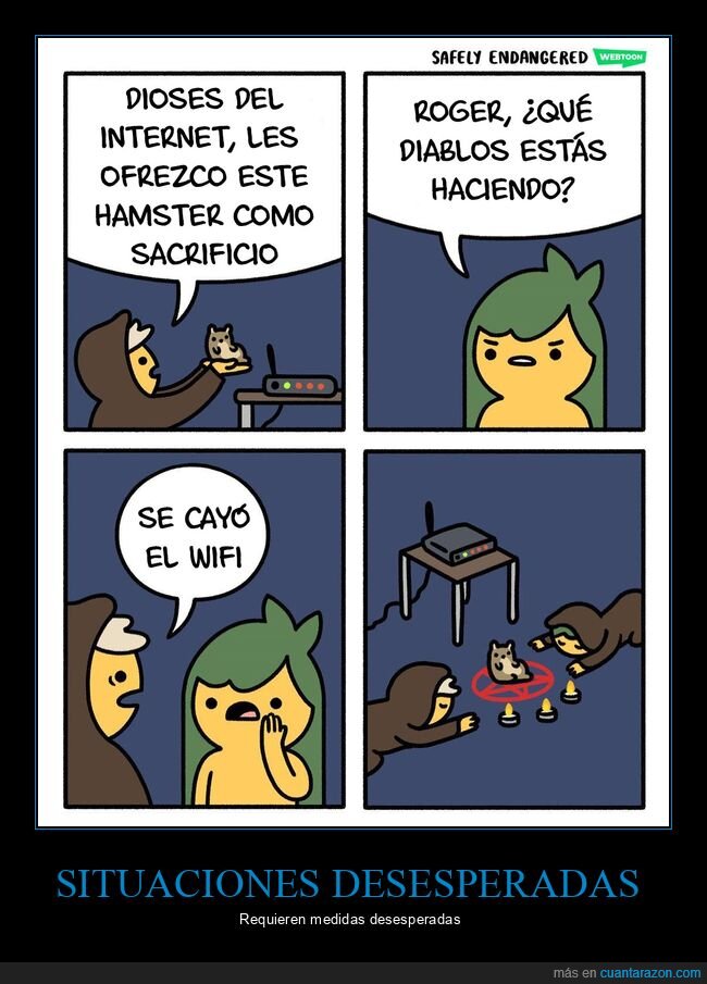 hámster,sacrificio,internet,wifi