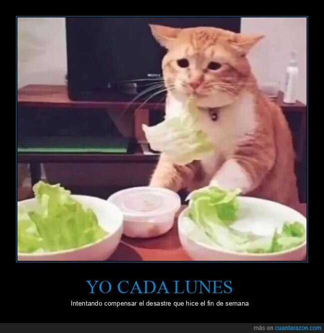 lunes,dieta,fin de semana,comida